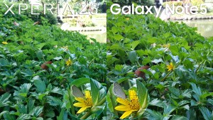 galaxy note 5 vs xperia z5 camera review 7