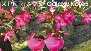 galaxy note 5 vs xperia z5 camera review 9
