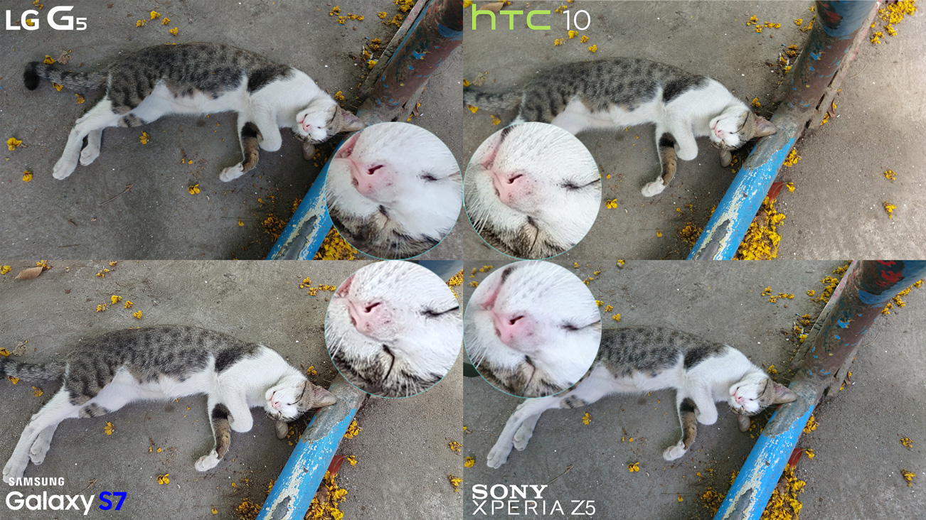 No HDR LG G5 vs HTC 10 vs Galaxy S7 vs Xperia Z5 Camera Full Comparison 2