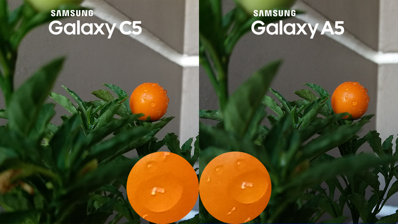 Samsung Galaxy C5 vs Galaxy A5 2016 Camera Review 1