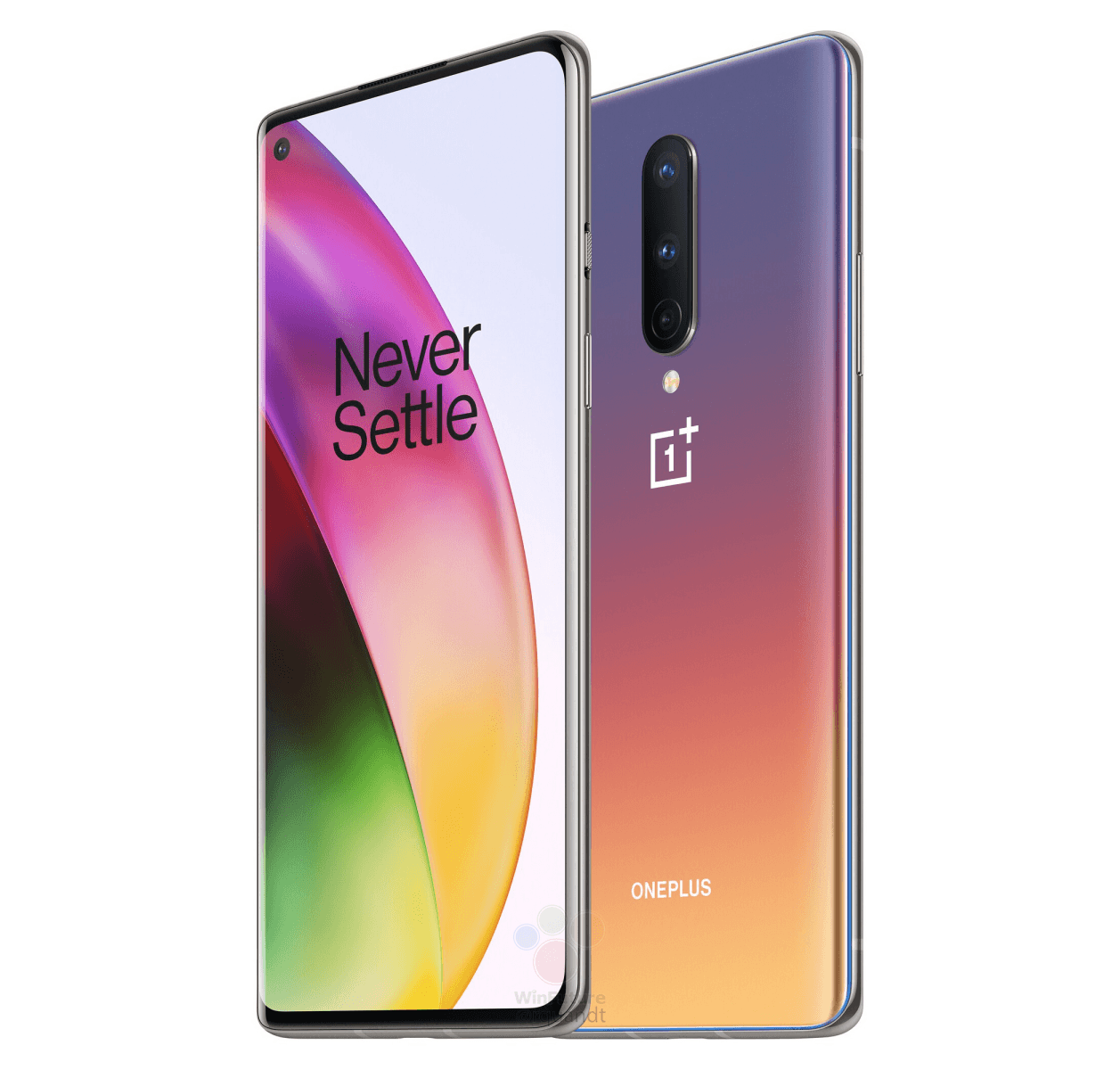 oneplus note 10 price