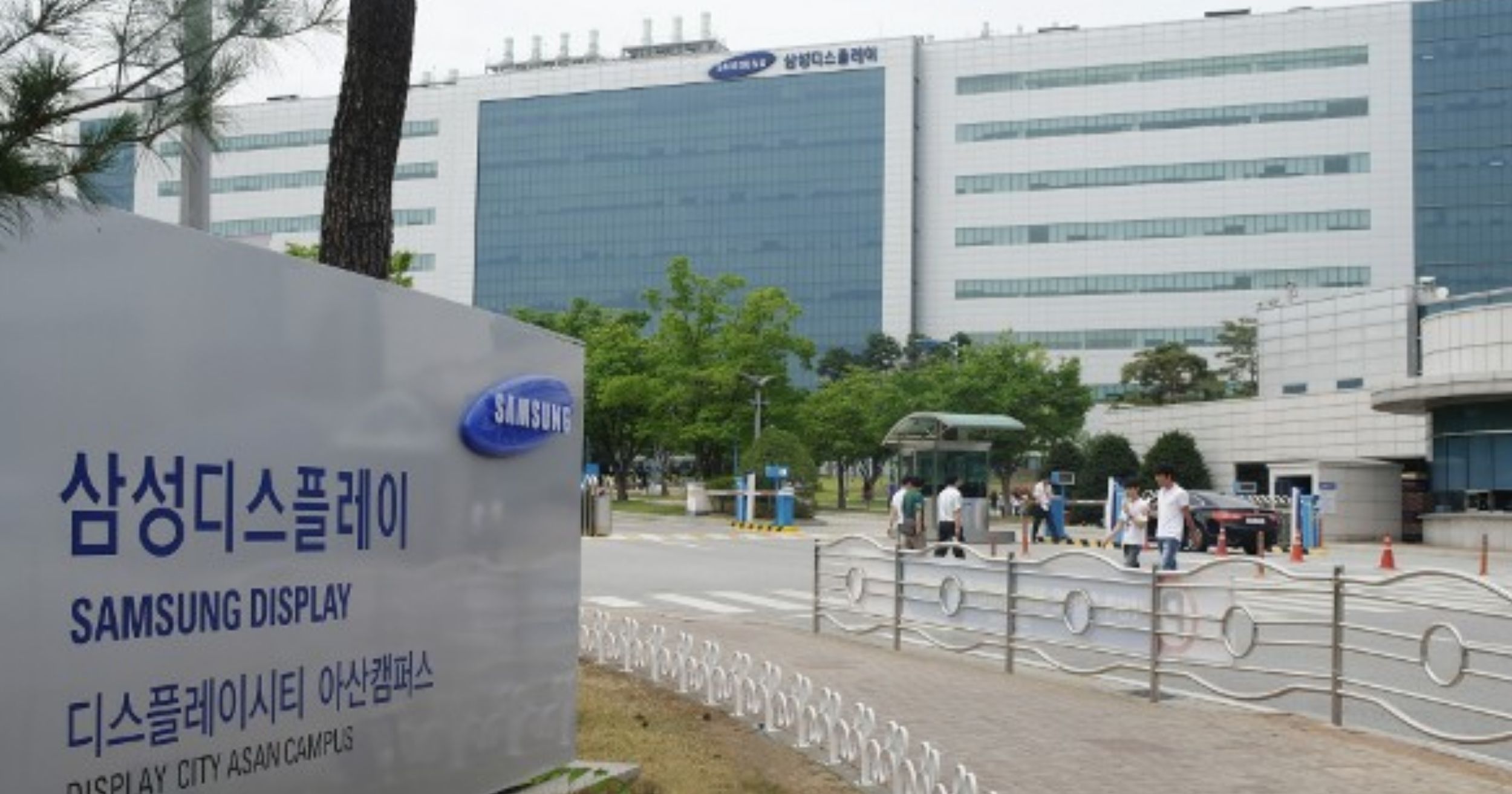 samsung a 31 display