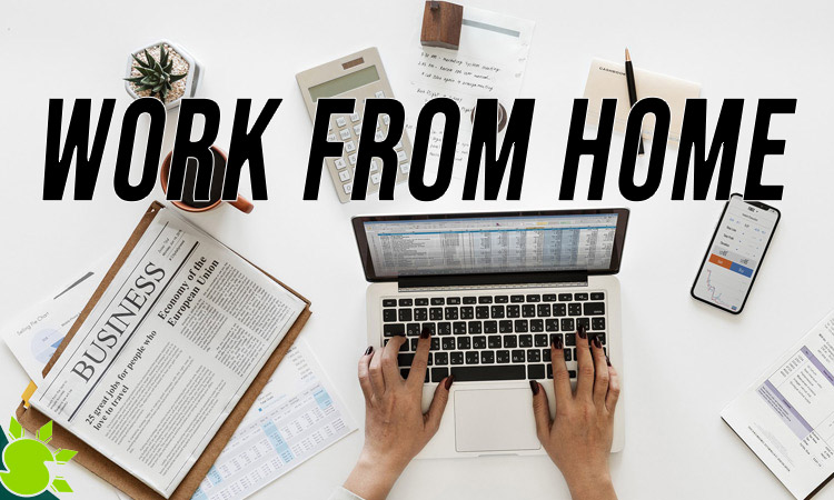 work from home job search websites