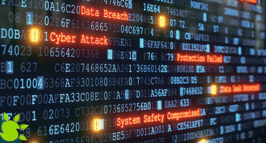 Personal Data Was Found for Sale on the Dark Web