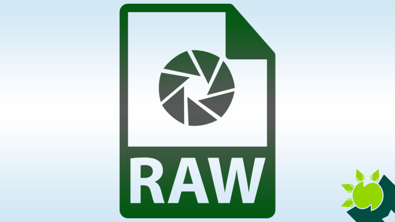 raw-file-what-it-is-how-to-open-one