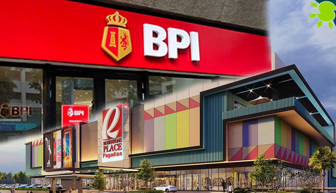 Robinson's Controls BPI