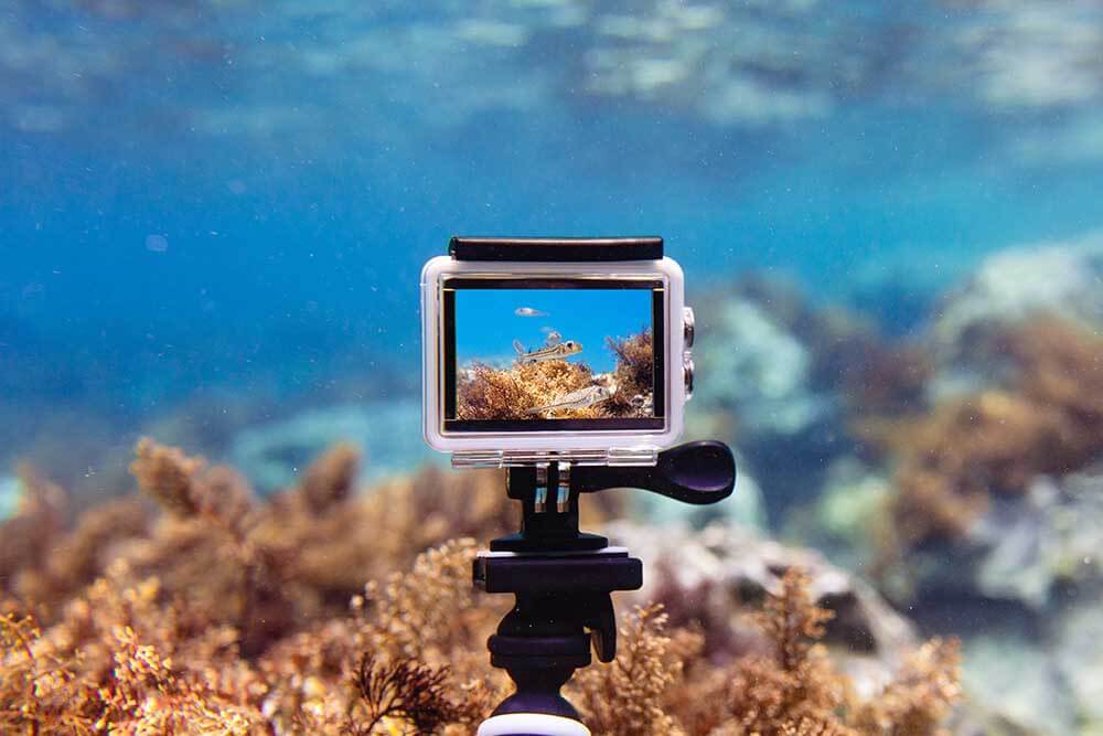 Top Cameras for Underwater Diving