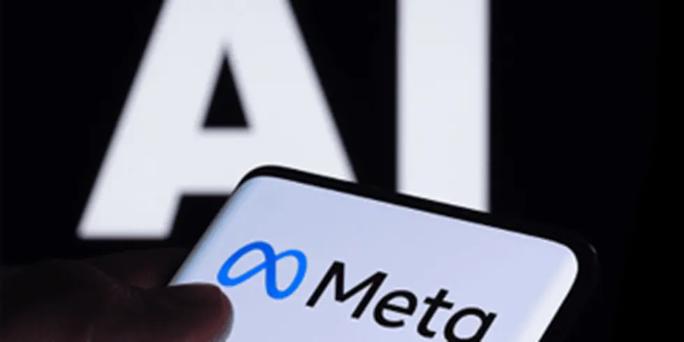Meta’s Artemis