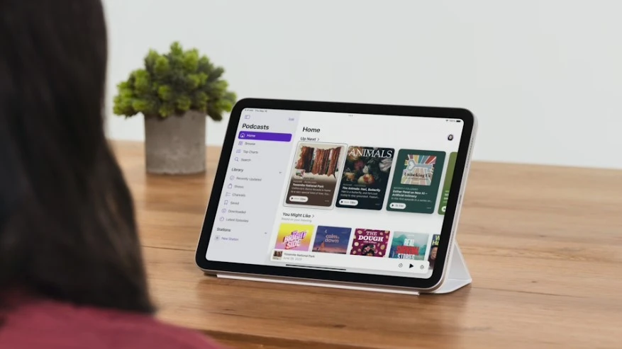 Accessibility Features