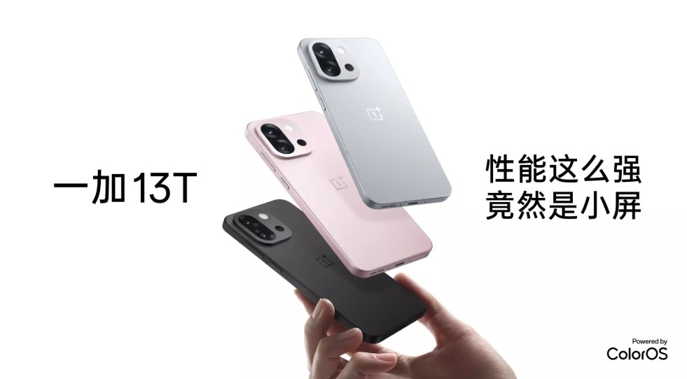 OnePlus 13T