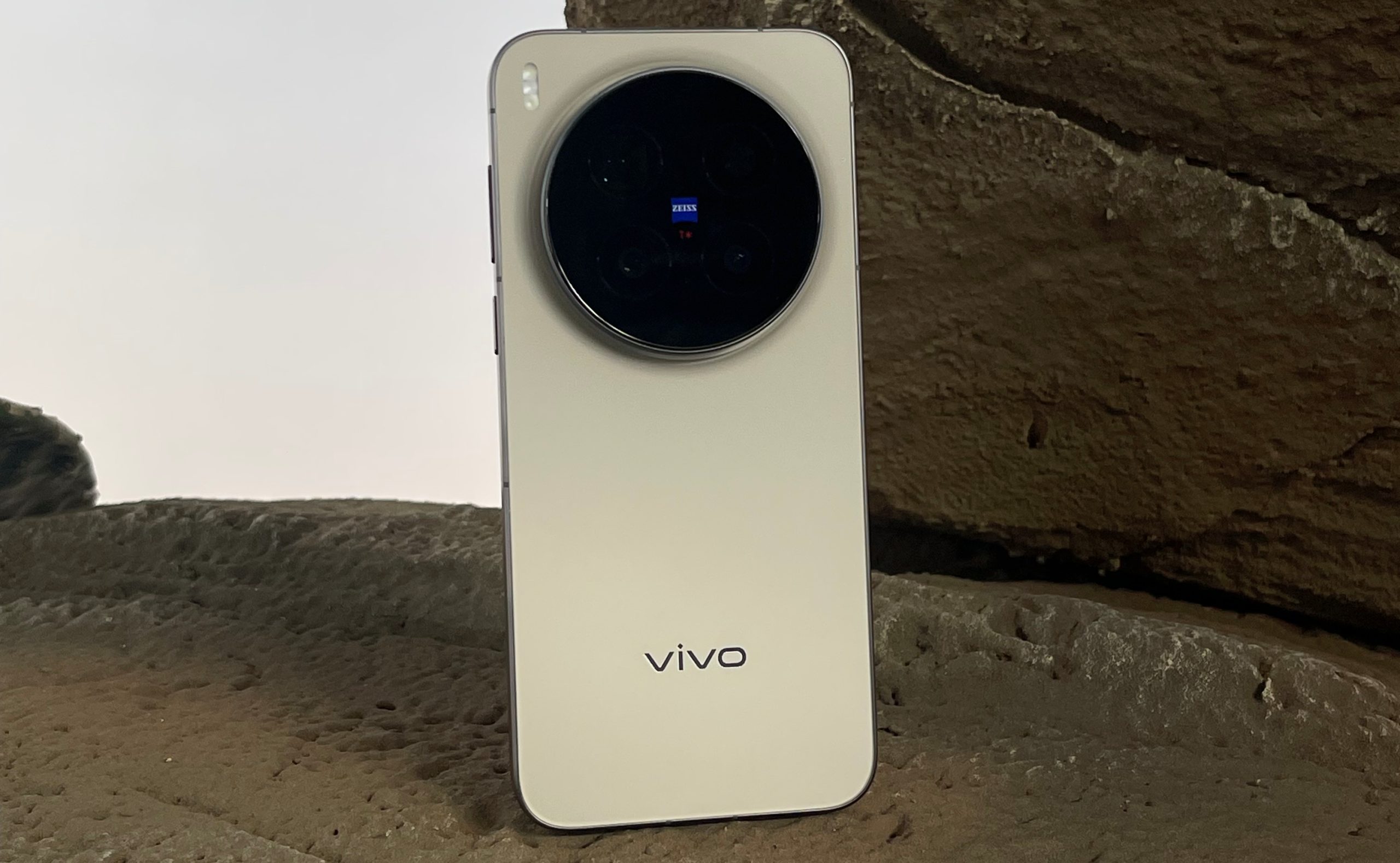 vivo X300