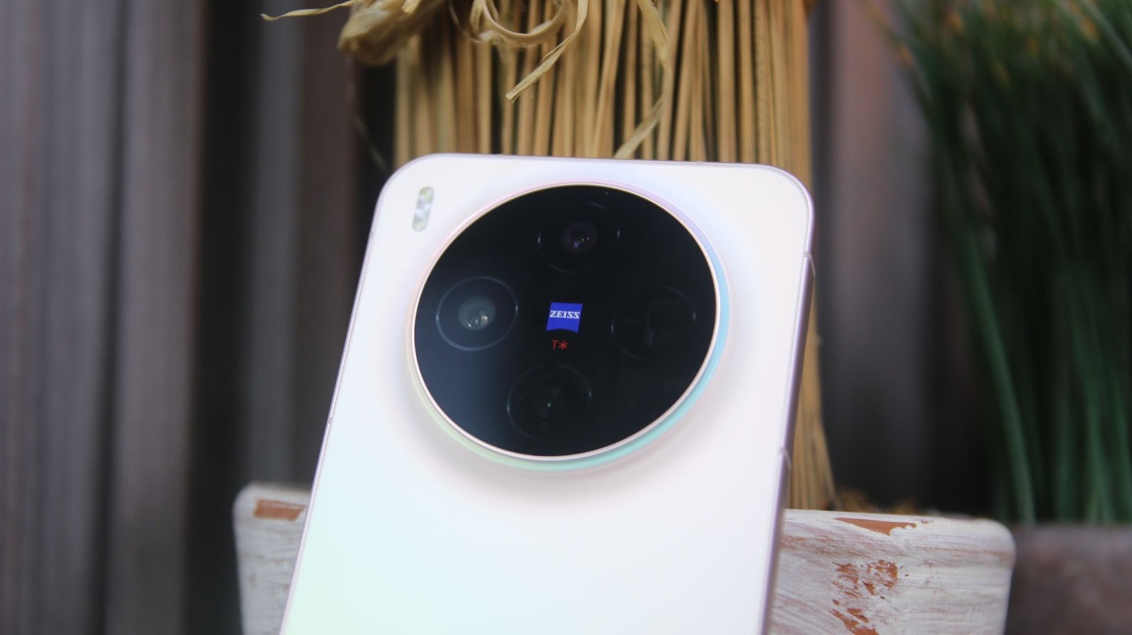 vivo X300